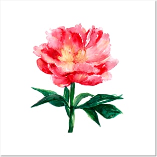 Loose Watercolor Peony Posters and Art